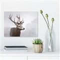 Picture of Reindeer _GroupedProduct_Rectangle_Landscape_Canvas_