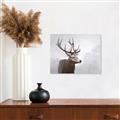 Picture of Reindeer _GroupedProduct_Rectangle_Landscape_Canvas_