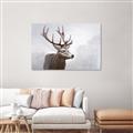 Picture of Reindeer _GroupedProduct_Rectangle_Landscape_Canvas_