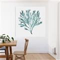 Picture of Teal Coral II  _GroupedProduct_Square_Canvas_