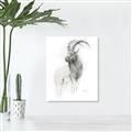 Picture of Ram Charcoal _GroupedProduct_Rectangle_Portrait_Canvas_