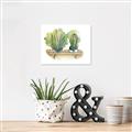 Picture of Splashed Cactus I  _GroupedProduct_Rectangle_Landscape_Canvas_