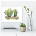Picture of Splashed Cactus I  _GroupedProduct_Rectangle_Landscape_Canvas_