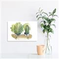 Picture of Splashed Cactus I  _GroupedProduct_Rectangle_Landscape_Canvas_