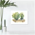 Picture of Splashed Cactus I  _GroupedProduct_Rectangle_Landscape_Canvas_