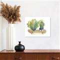 Picture of Splashed Cactus I  _GroupedProduct_Rectangle_Landscape_Canvas_