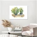 Picture of Splashed Cactus I  _GroupedProduct_Rectangle_Landscape_Canvas_