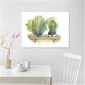 Picture of Splashed Cactus I  _GroupedProduct_Rectangle_Landscape_Canvas_