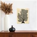 Picture of Neutral Coral II  _GroupedProduct_Rectangle_Portrait_Canvas_