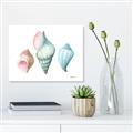 Picture of Seashells I  _GroupedProduct_Rectangle_Landscape_Canvas_