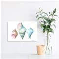 Picture of Seashells I  _GroupedProduct_Rectangle_Landscape_Canvas_