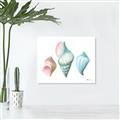 Picture of Seashells I  _GroupedProduct_Rectangle_Landscape_Canvas_