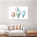 Picture of Seashells I  _GroupedProduct_Rectangle_Landscape_Canvas_