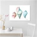 Picture of Seashells I  _GroupedProduct_Rectangle_Landscape_Canvas_