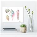 Picture of Seashells II  _GroupedProduct_Rectangle_Landscape_Canvas_