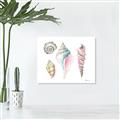 Picture of Seashells II  _GroupedProduct_Rectangle_Landscape_Canvas_
