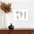 Picture of Seashells II  _GroupedProduct_Rectangle_Landscape_Canvas_