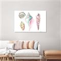Picture of Seashells II  _GroupedProduct_Rectangle_Landscape_Canvas_
