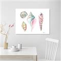 Picture of Seashells II  _GroupedProduct_Rectangle_Landscape_Canvas_