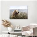 Picture of Waking Up _GroupedProduct_Rectangle_Landscape_Canvas_