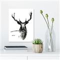 Picture of Sketched Deer  _GroupedProduct_Rectangle_Portrait_Canvas_