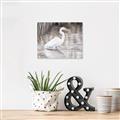 Picture of Wading Egret _GroupedProduct_Rectangle_Landscape_Canvas_