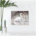 Picture of Wading Egret _GroupedProduct_Rectangle_Landscape_Canvas_