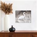 Picture of Wading Egret _GroupedProduct_Rectangle_Landscape_Canvas_