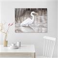 Picture of Wading Egret _GroupedProduct_Rectangle_Landscape_Canvas_