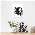 Picture of Sketched Ram _GroupedProduct_Rectangle_Portrait_Canvas_