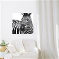 Picture of Zebra Watching _GroupedProduct_Square_Canvas_