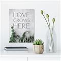 Picture of Love grows here _GroupedProduct_Rectangle_Portrait_Canvas_