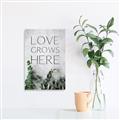 Picture of Love grows here _GroupedProduct_Rectangle_Portrait_Canvas_