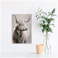 Picture of Harry the Highland _GroupedProduct_Rectangle_Portrait_Canvas_