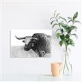 Picture of Big Cattle  _GroupedProduct_Rectangle_Landscape_Canvas_