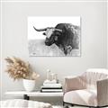 Picture of Big Cattle  _GroupedProduct_Rectangle_Landscape_Canvas_