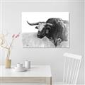 Picture of Big Cattle  _GroupedProduct_Rectangle_Landscape_Canvas_