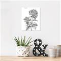 Picture of Hydrangea Sketch  _GroupedProduct_Rectangle_Portrait_Canvas_