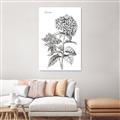Picture of Hydrangea Sketch  _GroupedProduct_Rectangle_Portrait_Canvas_