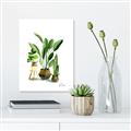 Picture of House Plants I  _GroupedProduct_Rectangle_Portrait_Canvas_