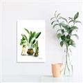 Picture of House Plants I  _GroupedProduct_Rectangle_Portrait_Canvas_