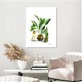 Picture of House Plants I  _GroupedProduct_Rectangle_Portrait_Canvas_