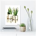 Picture of House Plants II  _GroupedProduct_Rectangle_Portrait_Canvas_
