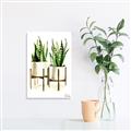 Picture of House Plants II  _GroupedProduct_Rectangle_Portrait_Canvas_