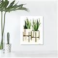 Picture of House Plants II  _GroupedProduct_Rectangle_Portrait_Canvas_