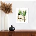 Picture of House Plants II  _GroupedProduct_Rectangle_Portrait_Canvas_
