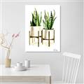 Picture of House Plants II  _GroupedProduct_Rectangle_Portrait_Canvas_