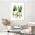 Picture of House Plants II  _GroupedProduct_Rectangle_Portrait_Canvas_