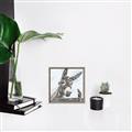 Picture of Donkey time _GroupedProduct_Square_Canvas_Framed_