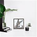 Picture of Donkey time _GroupedProduct_Square_Canvas_Framed_